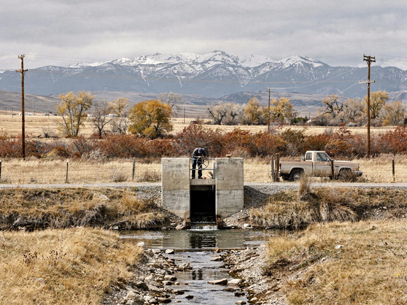 A ditch rider bent to the wheel of a concrete headgate at season’s close, cottonwoods gone gold along the fence lines, an old pickup at the gate, first snow on the peaks beyond.